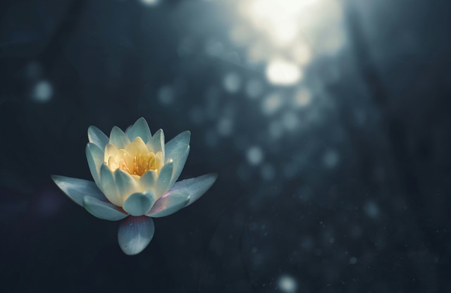 Ilustrasi mindfulness untuk pemula. Foto Unsplash.