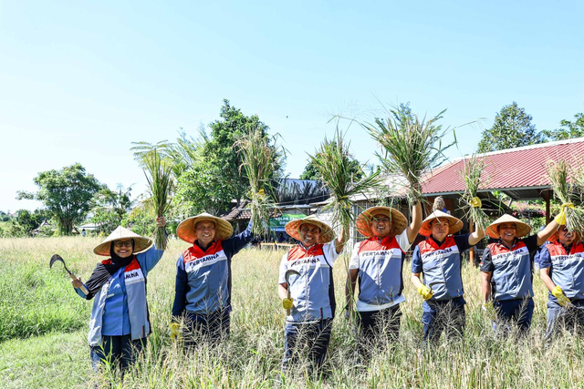 Komisaris Pertamina, Nanik S. Deyang (kiri) dan Komisaris Independen Pertamina, Condro Kirono (kedua dari kiri) saat panen padi hasil program Tanggung Jawab Sosial dan Lingkungan (TJSL) Desa Energi Berdikari (DEB) Uma Palak Lestari binaan Pertamina Patra Niaga Aviation Fuel Terminal (AFT) Ngurah Rai di Kelurahan Peguyangan, Denpasar Utara, Bali pada Sabtu (30/5). Foto: Dok. Pertamina