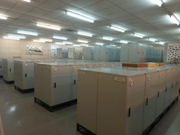 Gambar 1.  Koleksi spesimen serangga di Museum Zoologicum Bogoriense (MZB) BRIN.