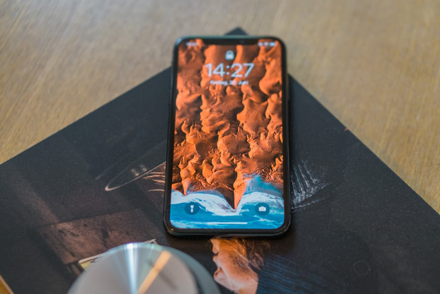 Ilustrasi Cara Buat Wallpaper Bunga Viral,Foto:Unsplash/Hilthart Pedersen