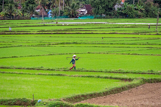 ilustrasi apa saja jenis lapangan usaha yang tidak termasuk dalam cakupan sensus ekonomi 2026?. Unsplash/
