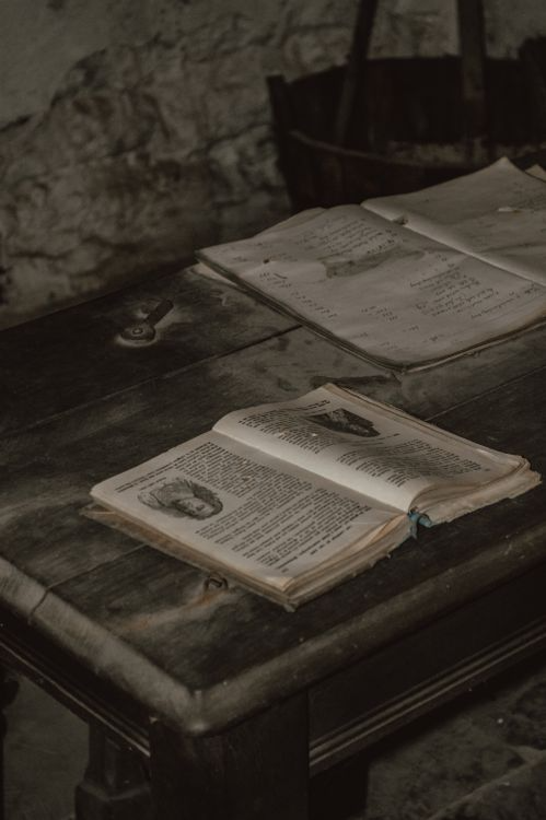 sumber: https://images.pexels.com/photos/11197155/pexels-photo-11197155.jpeg