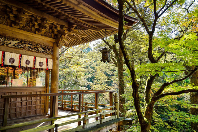 Ilustrasi cara kerja di Jepang, Foto: Pixabay/shell_ghostcage