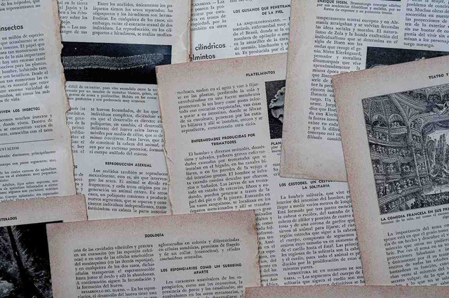 Ilustrasi Sejarah sebagai Ilmu. Foto: Pixabay.