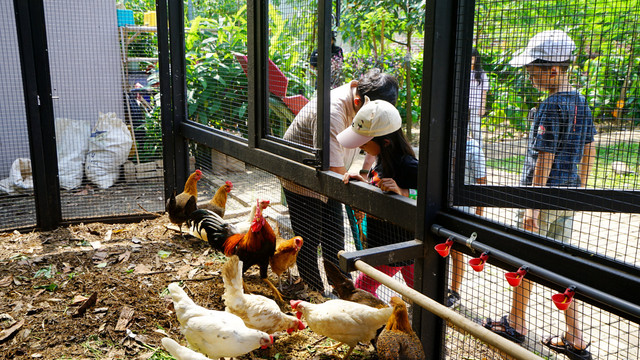 Kegiatan holiday program Kebun Kumara. Foto: Dok. Kebun Kumara