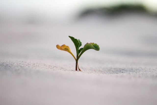 Ilustrasi pola pikir. Foto: Unsplash