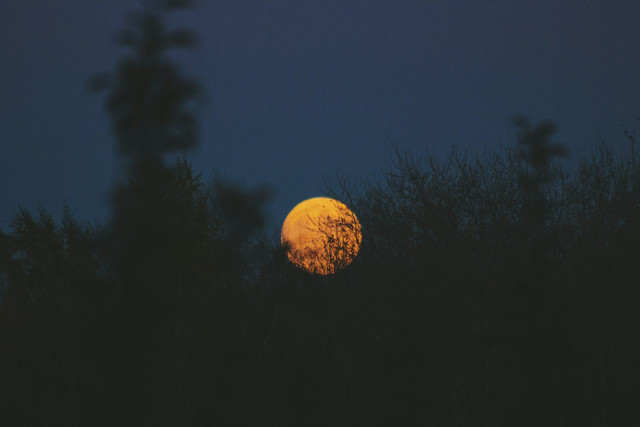 Malam 1 Suro. Foto: Unsplash