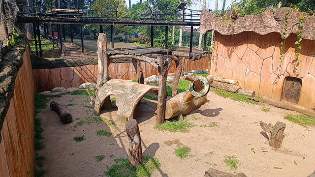 Suasana kandang hewan di Bandung Zoo, Jawa Barat pada Jumat (12/6). Foto: Abisatya Ramdhani/kumparan