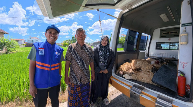 Pengiriman Hewan Qurban ke Yayasan Srikandi di Lampung Tengah (Sumber: DT Peduli)