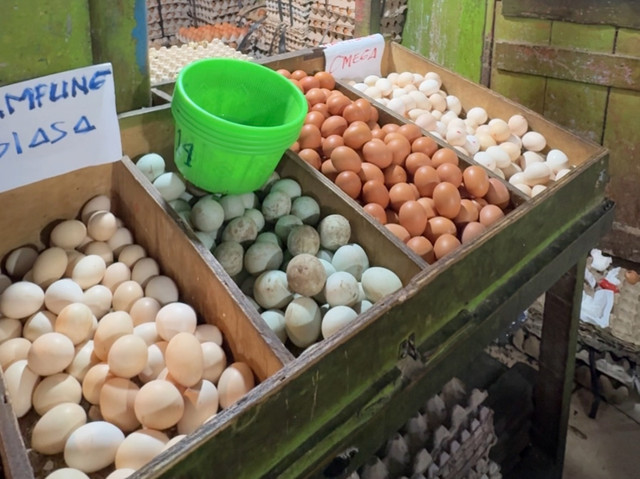 Telur ayam di Pasar Rawasari, Jakarta Pusat, Sabtu (13/6/2026). Foto: Widya/kumparan