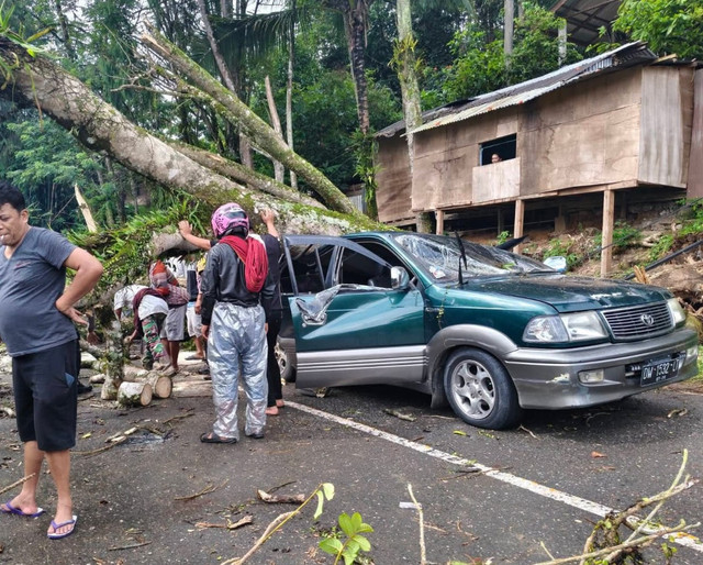 Mobil yang tertimpa pohon di Kabupaten Tana Toraja. Foto: Istimewa