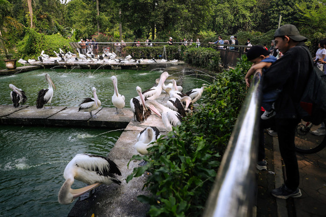 Masyarakat mengunjungi Taman Margasatwa Ragunan, Jakarta, Selasa (16/6/2026). Foto: Jamal Ramadhan/kumparan