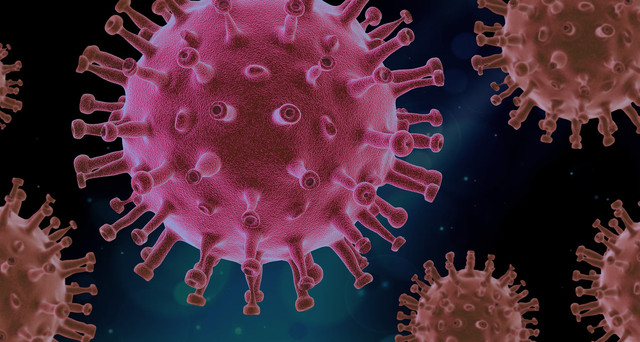 Ilustrasi virus. Foto: Pixabay