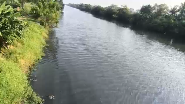 Aliran Sungai Ciujung di wilayah Kabupaten Serang diduga tercemar limbah pada Kamis (18/6/2026) sore. Foto: Dok. kumparan
