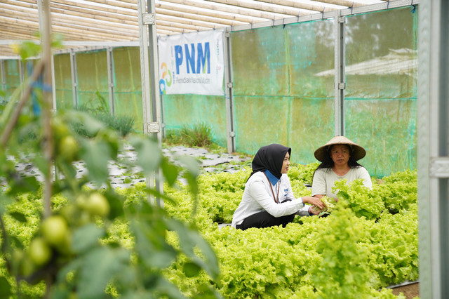 Petugas PNM dalam memberdayakan usaha dan meningkatkan ekonomi nasabah secara berkelanjutan. Foto: Dok. PNM
