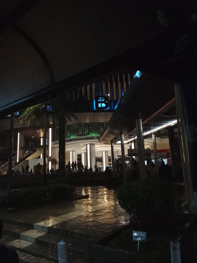 Potret Stasiun Tanah Abang pada malam hari (foto pribadi).