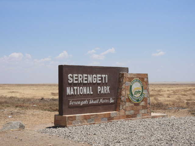Foto Taman Nasional Serengeti (Gambar dari Jairos Adventure/Pexels) Photo by Jairos Adventure from Pexels: https://www.pexels.com/id-id/foto/tengara-penunjuk-penanda-tonggak-batas-10222036/