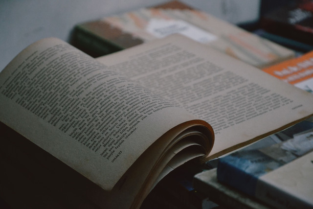 Ilustrasi buku cerpen seekor beras dan sebutir anjing. Photo by binevva from Pexels: https://www.pexels.com/photo/book-in-close-up-photography-14265466/