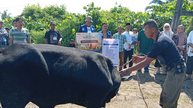 1 Ekor Sapi Qurban disembelih dan dibagikan kepada masyarakat di Gang Gelatik, Kel. Sri Meranti, Rumbai, Pekanbaru (Sumber: DT Peduli)