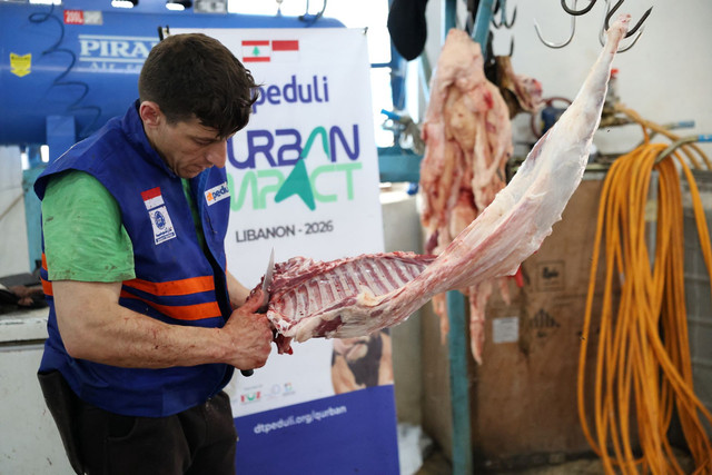 Proses Pemotongan Daging Hewan Qurban untuk Pengungsi Palestina di Lebanon (Sumber: DT Peduli)