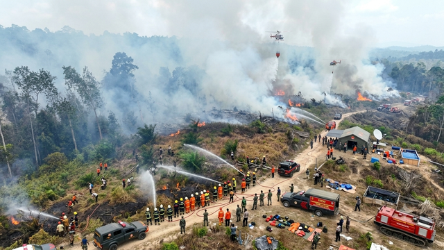 Ilustrasi Upaya pemadaman kebakaran akibat kemarau El Nino ( Foto: GeminiAI )