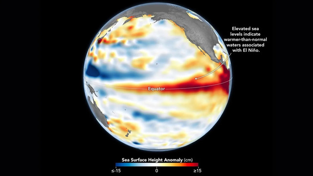 Gelombang air hangat dan permukaan laut yang lebih tinggi dari biasanya (merah) membentang di Samudra Pasifik, beberapa hari sebelum El Niño diumumkan. Foto: NASA Earth Observatory/Lauren Dauphin