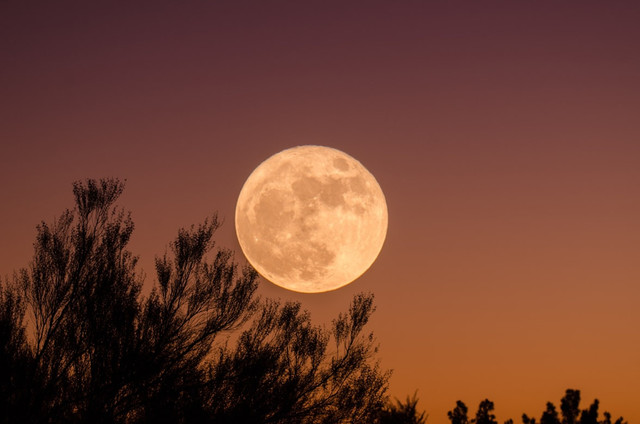 Ilustrasi cara melihat Strawberry Moon 29 Juni 2026. Foto: Unsplash.com/Ganapathy Kumar