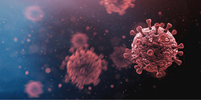 Ilustrasi Virus. Foto: commons.wikimedia.org