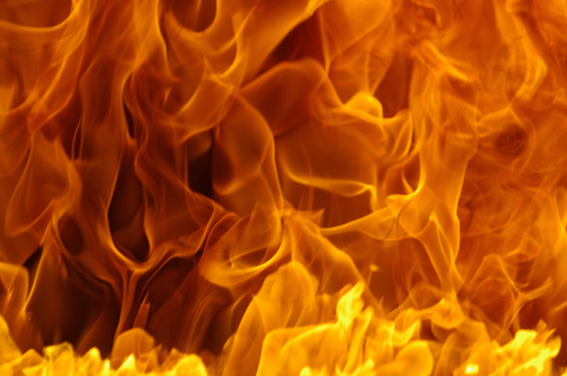Ilustrasi Bakar Batu. Foto: Pixabay.