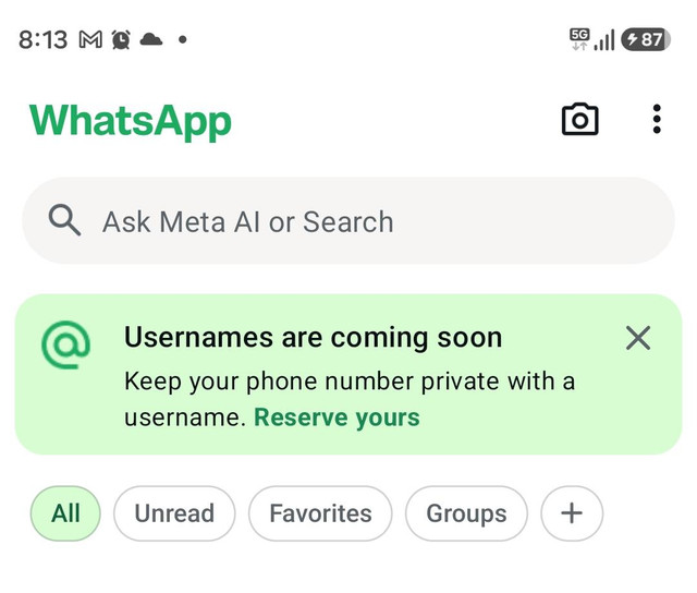 WhatsApp membuka reservasi untuk pengguna yang ingin memesan username. Foto: Aditya Panji/kumparan