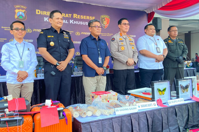 Polisi menunjukkan barang bukti penyelundupan, perdagangan ilegal serta eksploitasi sumber daya alam saat konpers di Mapolda Jawa Timur, Surabaya, Selasa (30/6/2026). Foto: Farusma Okta Verdian/kumparan