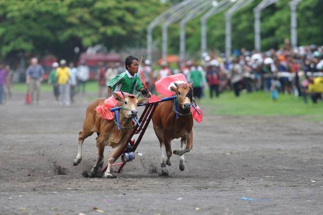 Ilustrasi Suku Madura. Foto: Unsplash.