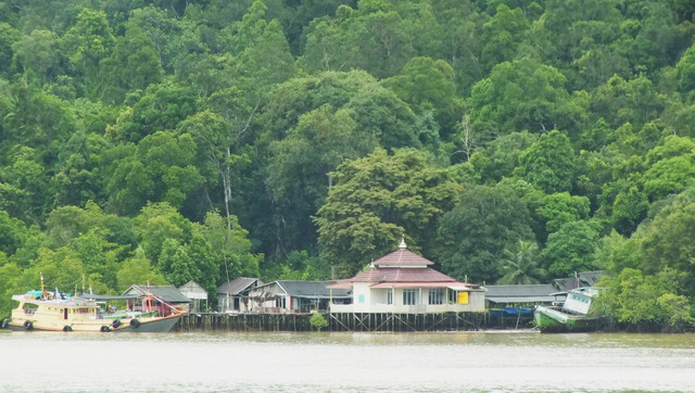 Ilustrasi Kalimantan Selatan. Foto: Unsplash.