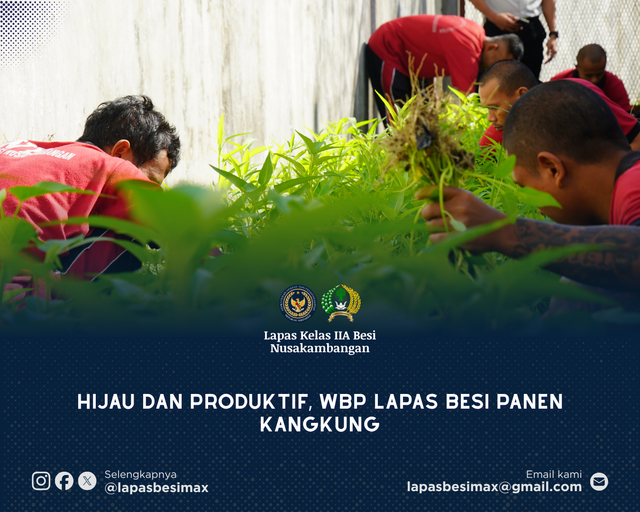Hijau dan Produkif, WBP Lapas Besi Panen Kangkung