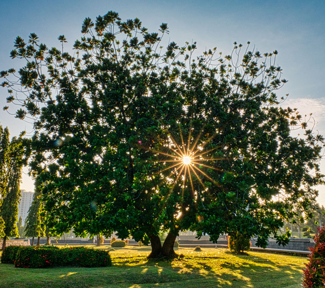 Waktu salat subuh foto by Pexels 