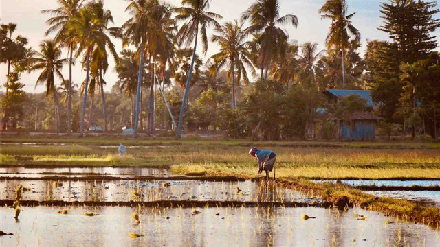 Ilustrasi Masyarakat Sumba. Foto: Unsplash.