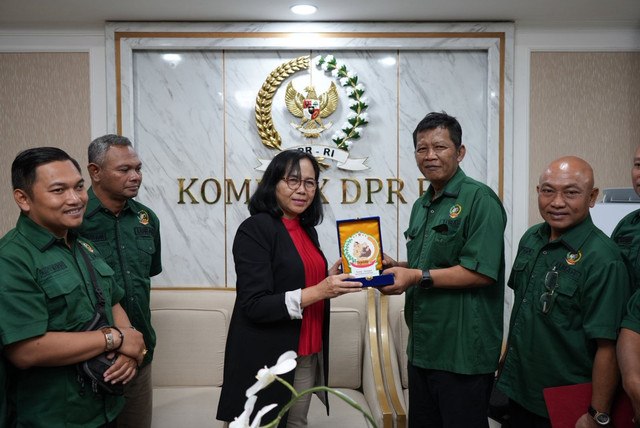 Paguyuban Lurah DIY saat melakukan audiensi dengan DPR RI dan Kementerian Keuangan. Foto: Dok. Istimewa