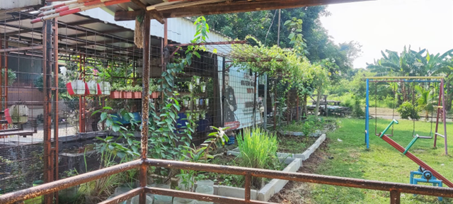 Area Posyandu RW 010 Taman Jati Permai setelah dilakukan penghijauan dan penataan lingkungan oleh mahasiswa KKN Kelompok 3 ITB Ahmad Dahlan.