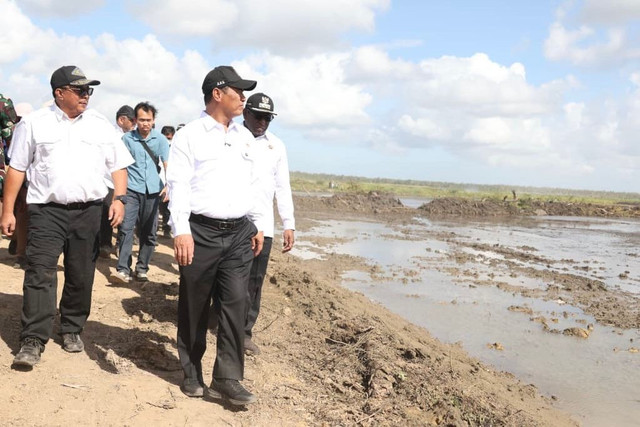 Mentan Amran Sulaiman meninjau cetak sawah dan oplah di Merauke. Foto: Kementan RI