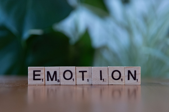 Kecerdasan emosional menjadi salah satu kompetensi penting di dunia kerja karena membantu individu mengelola emosi, membangun komunikasi yang efektif, serta menciptakan hubungan kerja yang lebih harmonis. Sumber: Pexels/Markus Winkler.