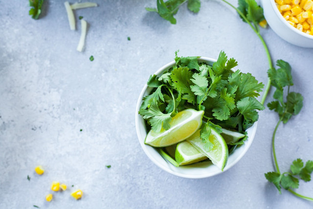 Ilustrasi menu Coriander Hotpot Haidilao. Foto: Unsplash.com/Lindsay Moe
