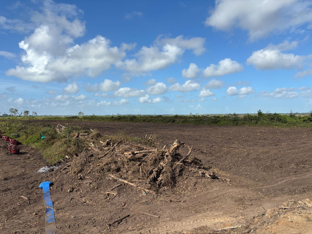 Lahan cetak sawah di Kampung Waninggap Kai, Merauke. Foto: Moh Fajri/kumparan