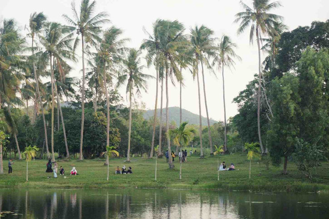 Ilustrasi Kalimantan Selatan. Foto: Unsplash.