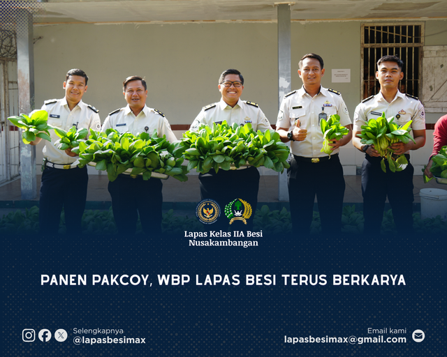 Panen Pakcoy, WBP Lapas Besi Terus Berkarya