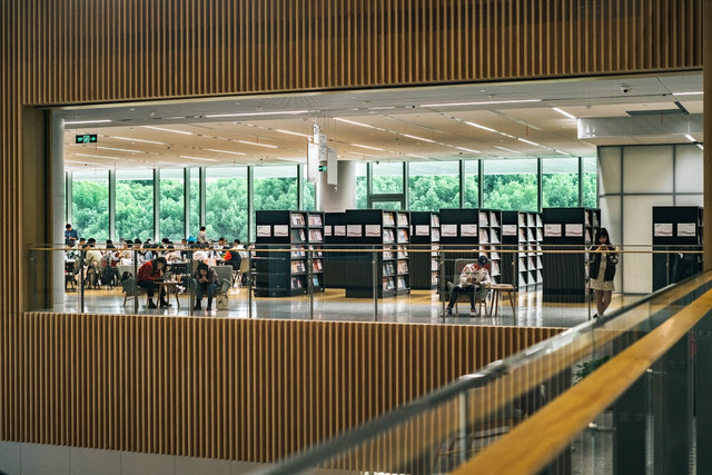 Ilustrasi Satu Hal yang Membedakan Inovasi di Sektor Publik dengan Swasta. Foto: Unsplash/ Dong Xu