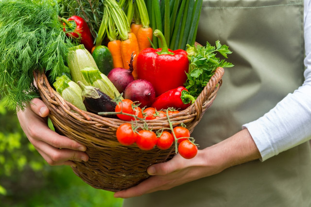 Berkebun di rumah kembali menjadi aktivitas yang digemari banyak orang. Foto: Shutterstock.