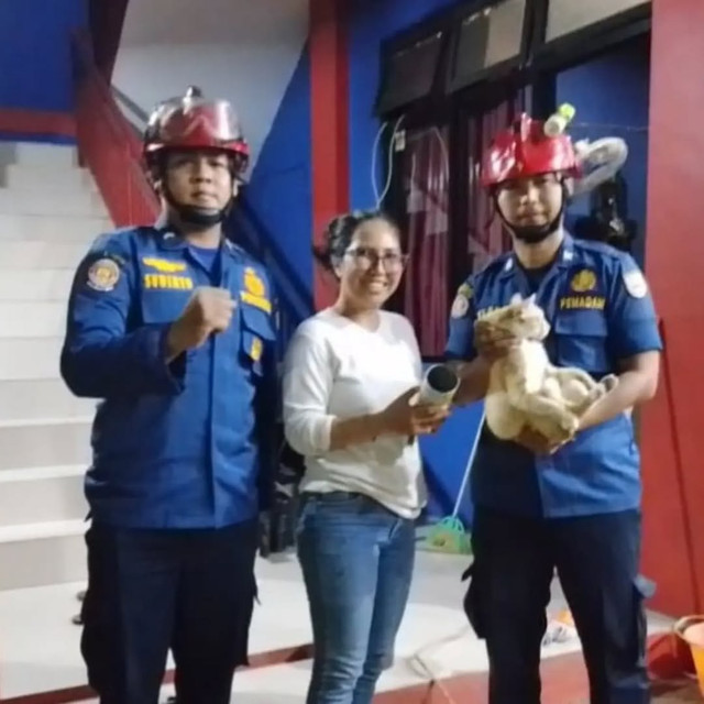 Seekor kucing peliharaan milik warga Depok berhasil diselamatkan petugas Dinas Pemadam Kebakaran dan Penyelamatan Kota Depok setelah kepalanya tersangkut kaleng makanan kucing pada Kamis (9/7/2026). Foto: istimewa