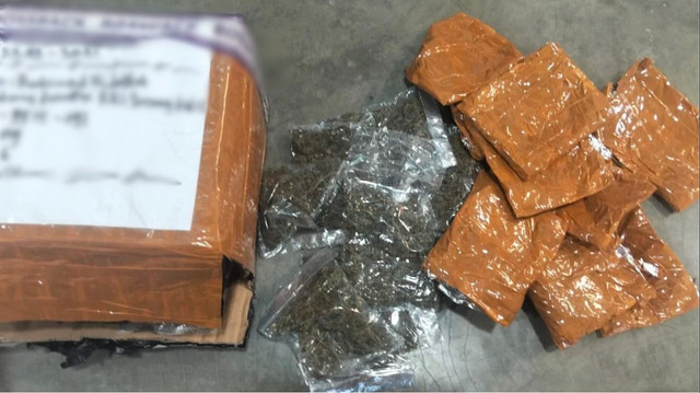 Petugas menunjukkan barang bukti 50 paket ganja seberat 670 gram yang digagalkan Satgas Pasgat Pamtas RI-PNG di Bandara Sentani, Jayapura. Foto: Dok. Satgas TNI HABEMA