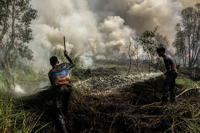 Petugas pemadam kebakaran Dinas Kehutanan Kalteng berusaha memadamkan api yang membakar lahan gambut di Kelurahan Bukit Tunggal, Palangka Raya, Kalimantan Tengah, Minggu (12/7/2026). Foto: Auliya Rahman/ANTARA FOTO