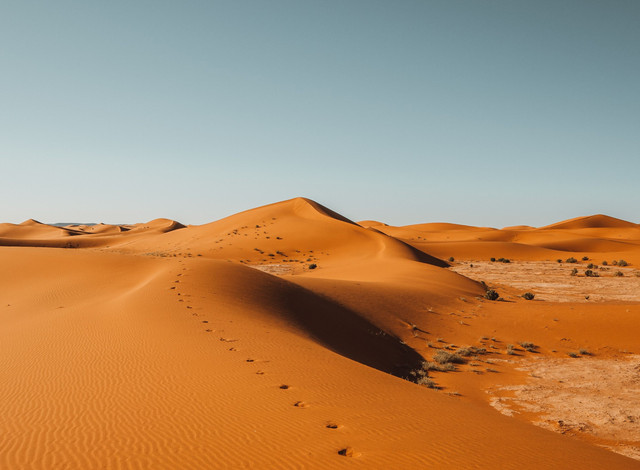Potret padang pasir foto by Pexels